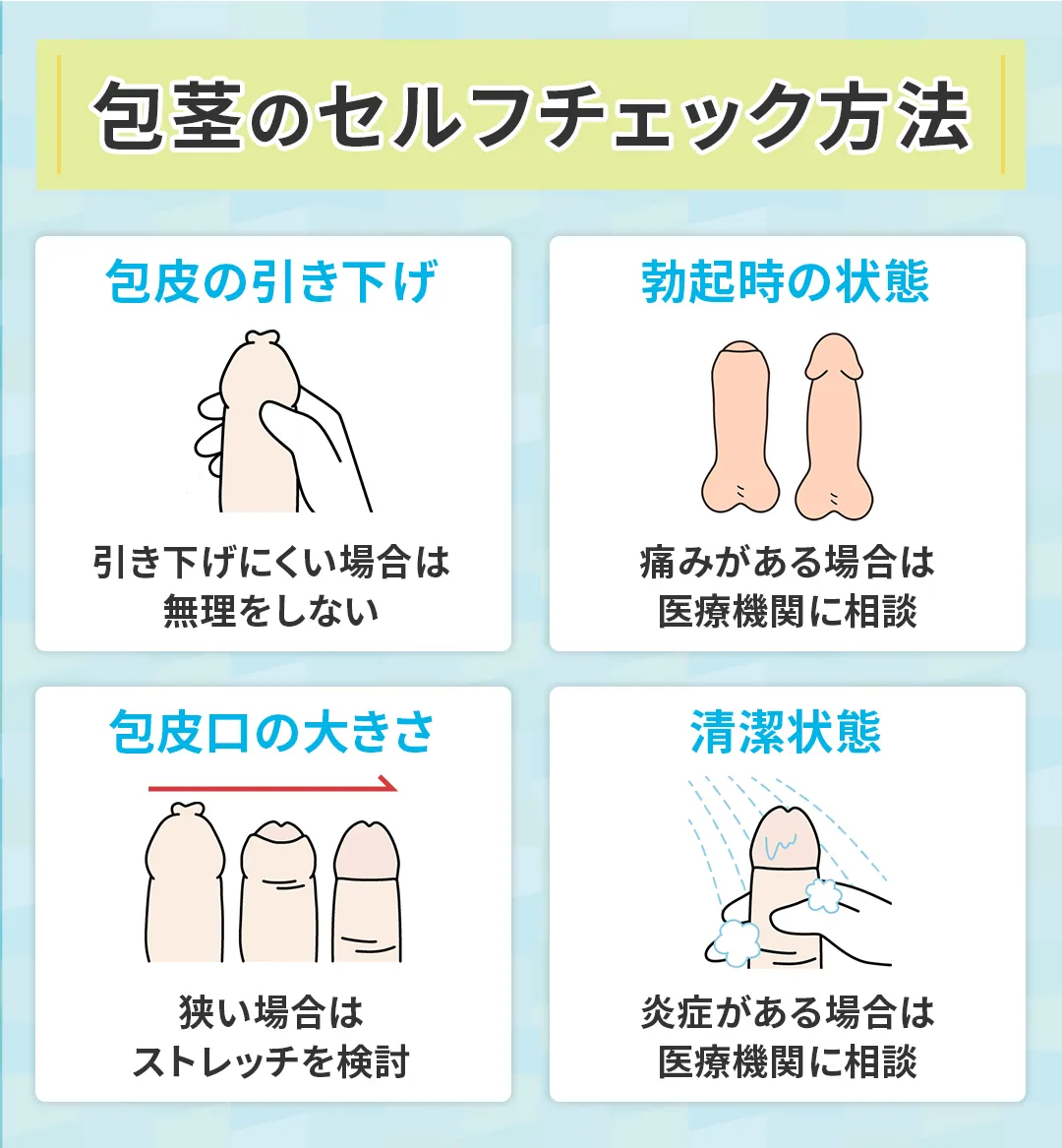 包茎のセルフチェック方法